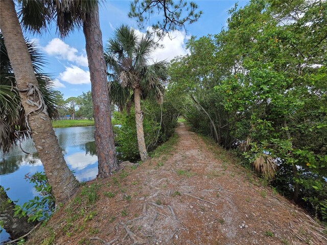754 71st Ave N, Saint Petersburg, FL 33702 - photo 8