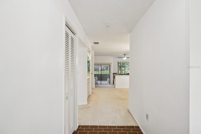 456 Lakeview Dr Unit 5, Palm Harbor, FL 34683 - hallway featuring carpet floors and tile patterned floors
