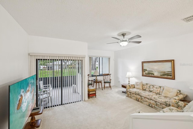 456 Lakeview Dr Unit 5, Palm Harbor, FL 34683 - living area with carpet floors, ceiling fan, and a textured ceiling