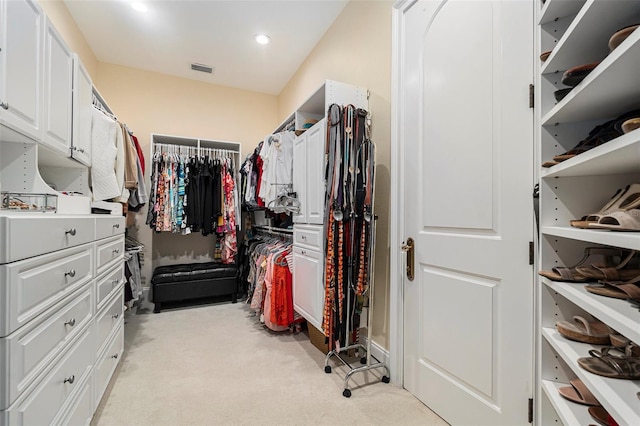 3607 Berger Rd, Lutz, FL 33548 - spacious closet featuring light colored carpet