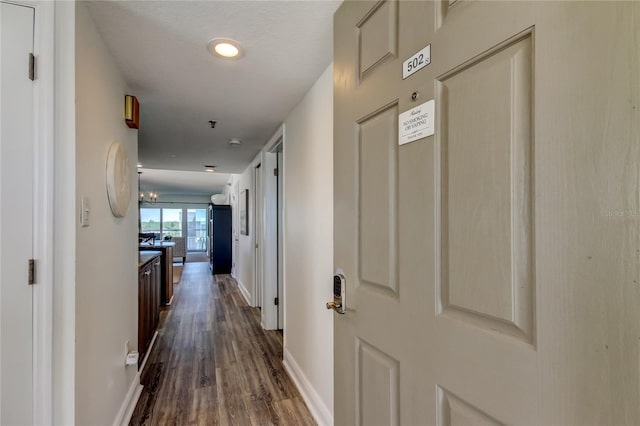 19925 Gulf Blvd Unit 502, Indian Shores, FL 33785 - hallway with baseboards and dark wood finished floors