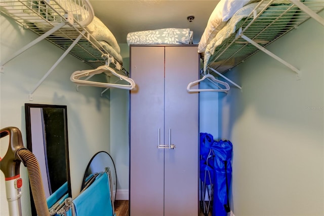 19925 Gulf Blvd Unit 502, Indian Shores, FL 33785 - view of spacious closet