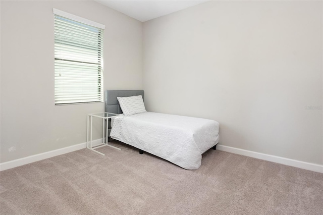 10008 Celtic Ash Dr, Ruskin, FL 33573 - carpeted bedroom featuring baseboards
