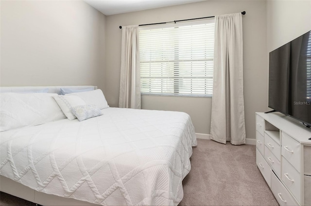 10008 Celtic Ash Dr, Ruskin, FL 33573 - bedroom with light carpet and baseboards