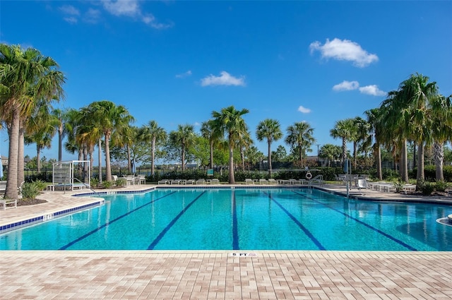 10008 Celtic Ash Dr, Ruskin, FL 33573 - community pool with a patio area