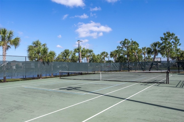 10008 Celtic Ash Dr, Ruskin, FL 33573 - view of tennis court
