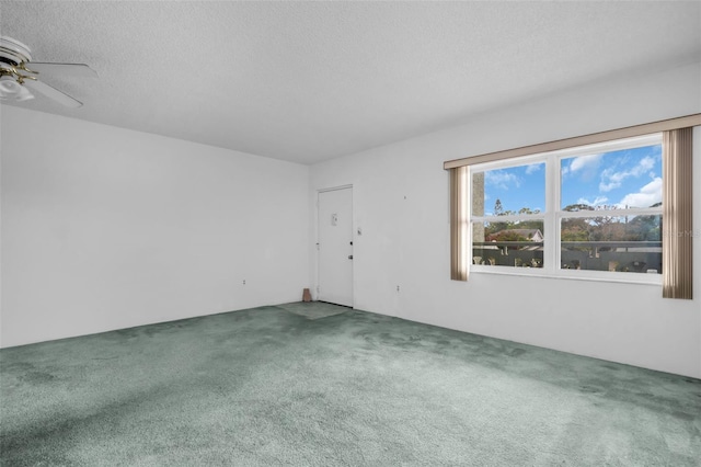 7321 Central Ave Unit 203, Saint Petersburg, FL 33710 - photo 5