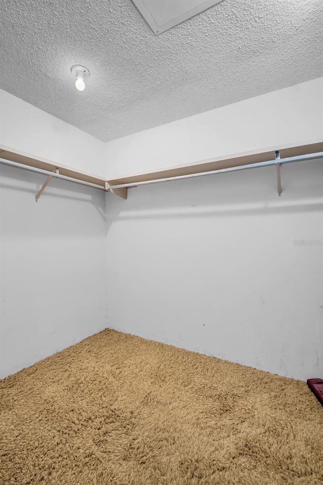 7321 Central Ave Unit 203, Saint Petersburg, FL 33710 - photo 15