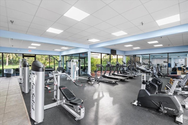 11260 Kapok Grand Cir, Madeira Beach, FL 33708 - gym featuring a paneled ceiling