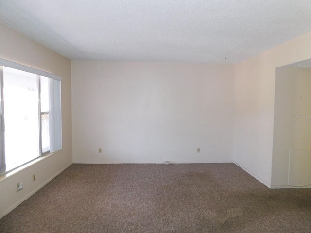 spare room with carpet and a textured ceiling