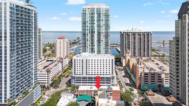 215 Central Ave Unit 4F, Saint Petersburg, FL 33701 - city view with a water view