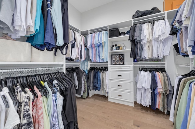 4515 W N A St Unit 8, Tampa, FL 33609 - walk in closet with light wood-style floors