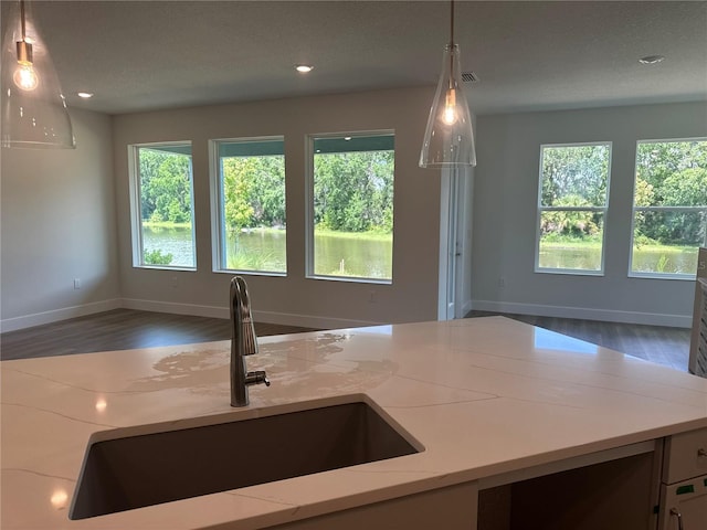 3319 Guanabana Xing, Wesley Chapel, FL 33543 - kitchen featuring wood finished floors, healthy amount of natural light, light stone countertops, open floor plan, and recessed lighting