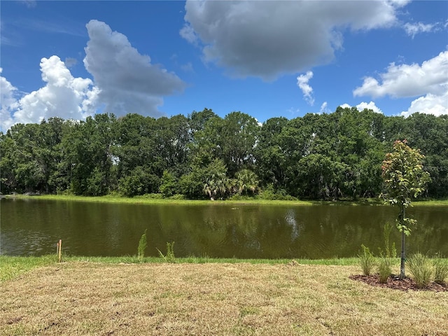 3319 Guanabana Xing, Wesley Chapel, FL 33543 - water view featuring a forest
