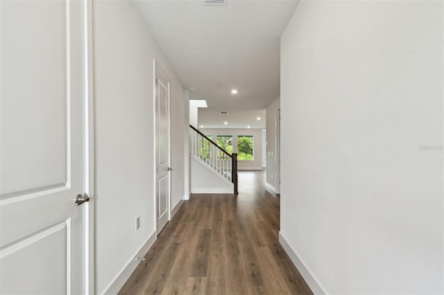 3319 Guanabana Xing, Wesley Chapel, FL 33543 - photo 4