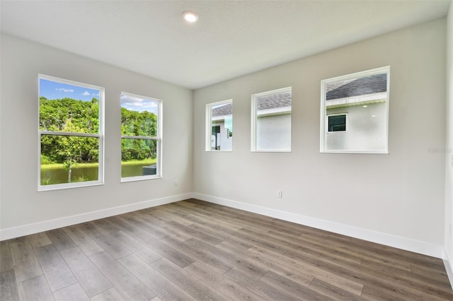 3319 Guanabana Xing, Wesley Chapel, FL 33543 - photo 17