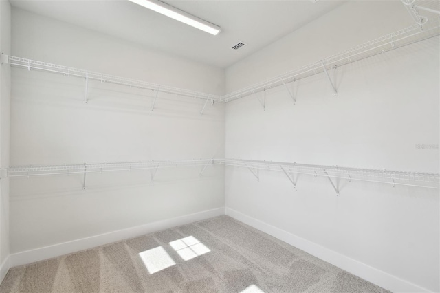 3319 Guanabana Xing, Wesley Chapel, FL 33543 - photo 30