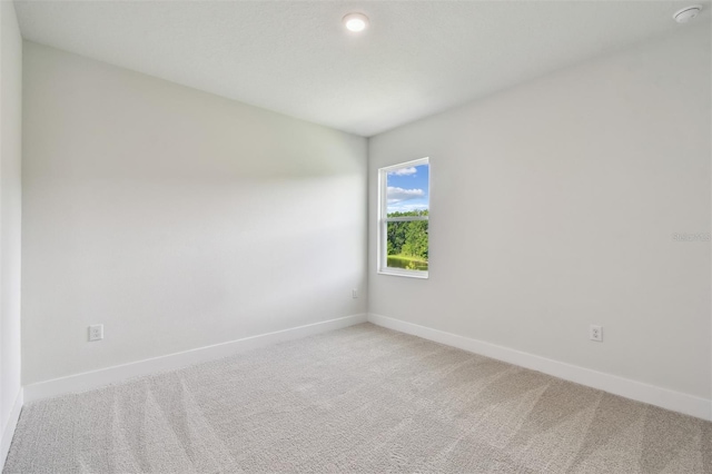 3319 Guanabana Xing, Wesley Chapel, FL 33543 - photo 37