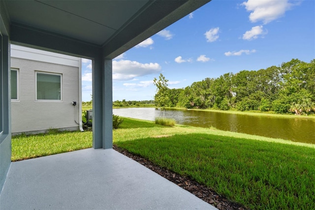 3319 Guanabana Xing, Wesley Chapel, FL 33543 - photo 43