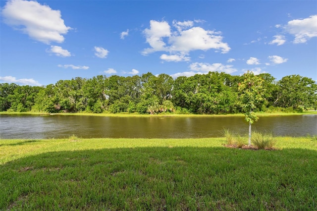 3319 Guanabana Xing, Wesley Chapel, FL 33543 - photo 46