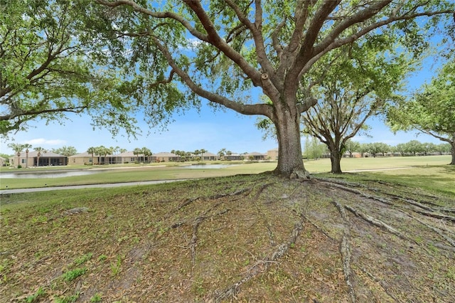 1102 Emerald Dunes Dr, Sun City Center, FL 33573 - view of yard