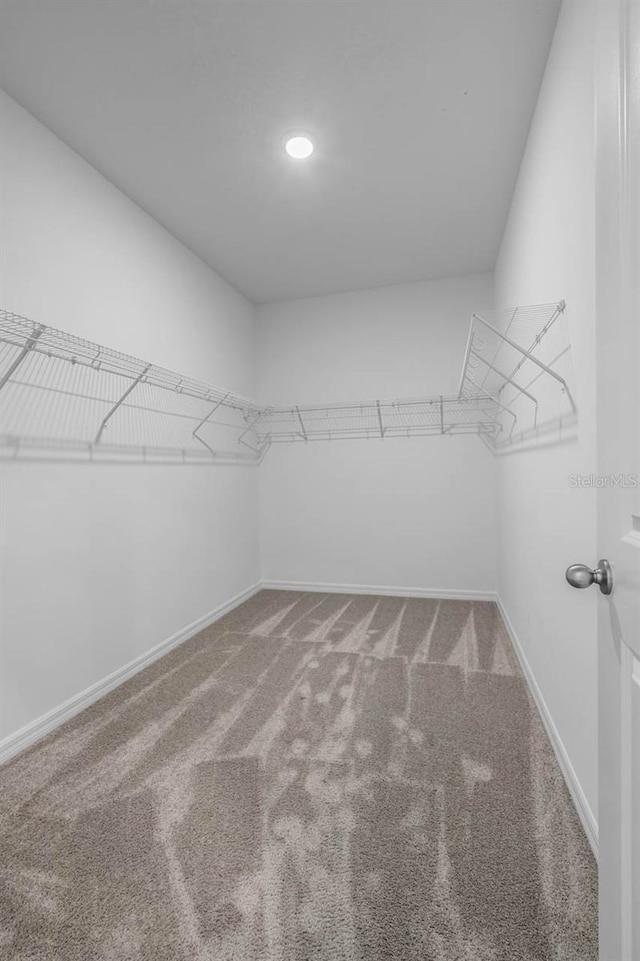 13821 Kinsale St, Riverview, FL 33579 - photo 21