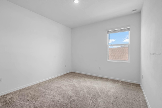 13821 Kinsale St, Riverview, FL 33579 - photo 26