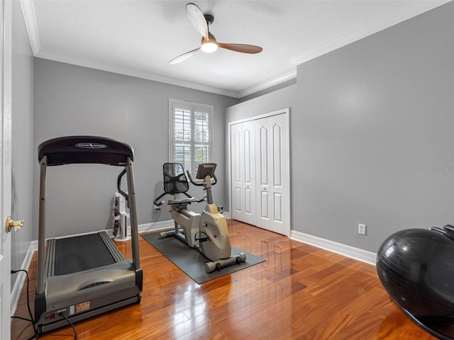 exercise area featuring ornamental molding, ceiling fan, and wood finished floors