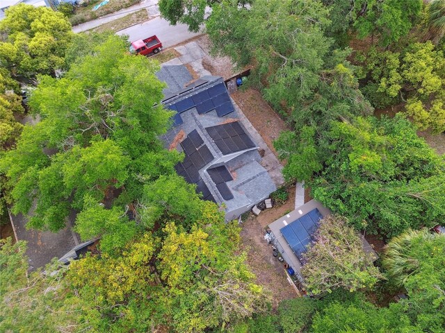 2708 N Mitchell Ave, Tampa, FL 33602 - photo 57