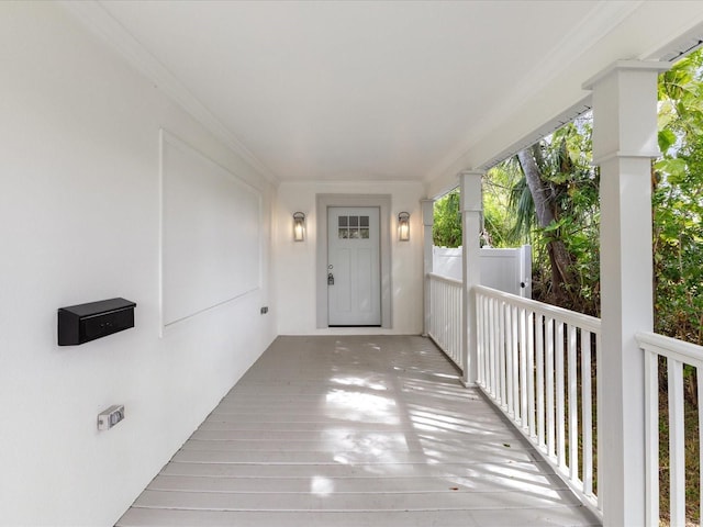 445 33rd Ave N, Saint Petersburg, FL 33704 - photo 3
