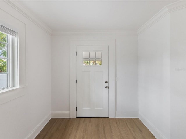 445 33rd Ave N, Saint Petersburg, FL 33704 - photo 5