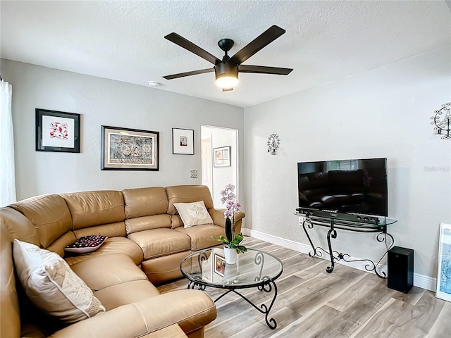 2425 Auburn St S, Saint Petersburg, FL 33712 - photo 24