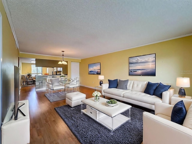 110 W Cypress Ct, Oldsmar, FL 34677 - living area with ornamental molding, a textured ceiling, a chandelier, and dark wood finished floors