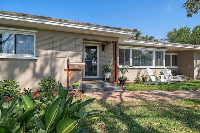 doorway to property with stucco siding and a yard
