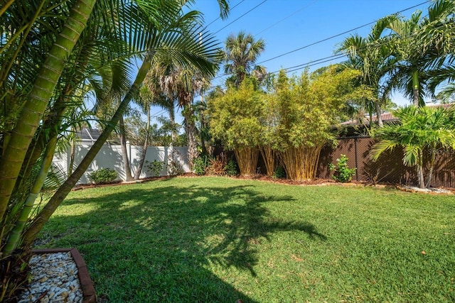 view of yard with a fenced backyard