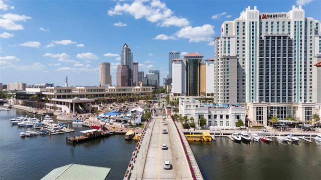 700 S Harbour Island Blvd Unit 813, Tampa, FL 33602 - property's view of city featuring a water view