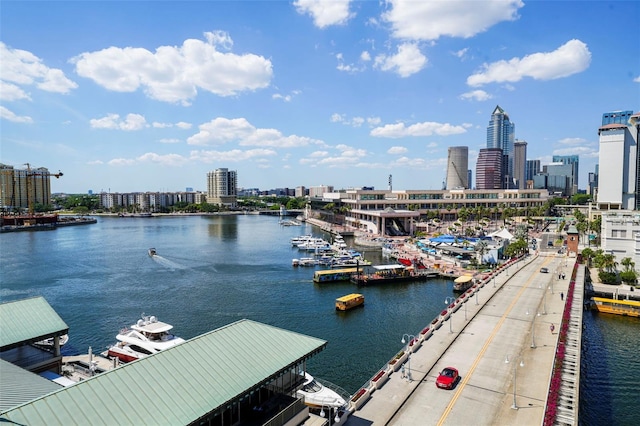 700 S Harbour Island Blvd Unit 813, Tampa, FL 33602 - water view with a view of city