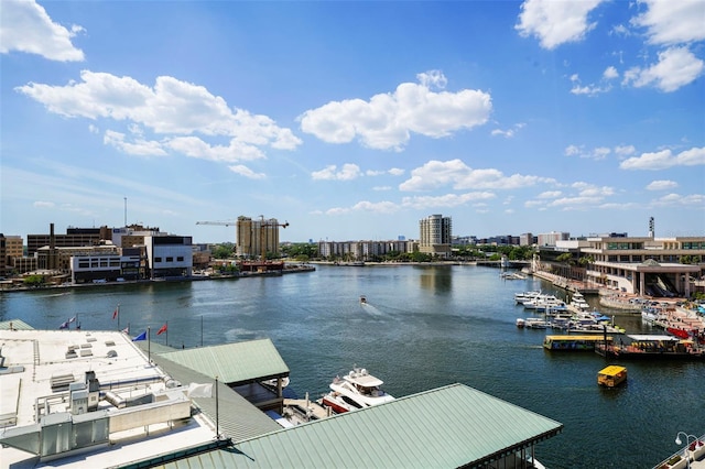 700 S Harbour Island Blvd Unit 813, Tampa, FL 33602 - dock area with a water view and a city view