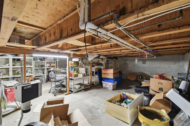 166 E Davis Blvd, Tampa, FL 33606 - view of unfinished basement