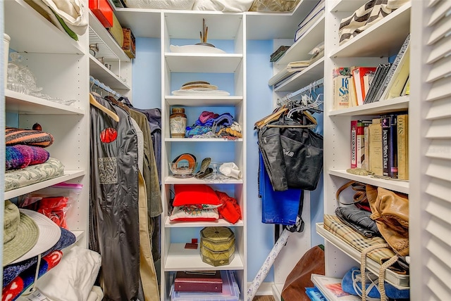 view of spacious closet