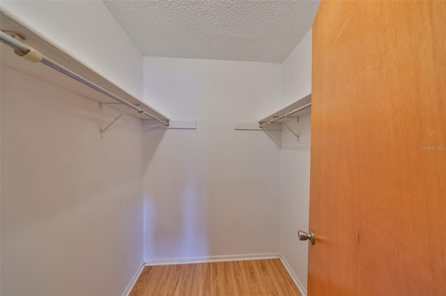 9210 Lehall Sq W, Lakeland, FL 33810 - spacious closet with light wood-type flooring