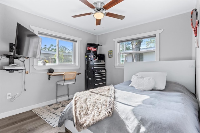 1543 Gentry St, Clearwater, FL 33755 - bedroom featuring baseboards, a ceiling fan, wood finished floors, and multiple windows