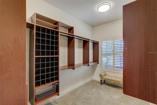 walk in closet with carpet