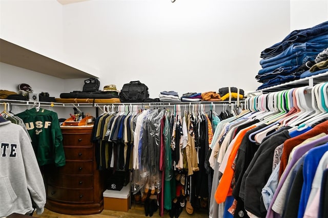 spacious closet featuring wood finished floors