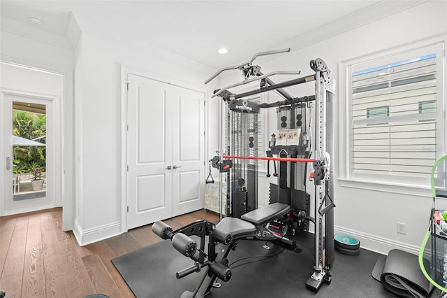 5025 W Homer Ave, Tampa, FL 33629 - exercise area featuring crown molding, baseboards, recessed lighting, and wood finished floors