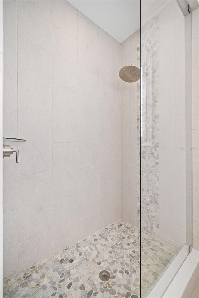 5025 W Homer Ave, Tampa, FL 33629 - full bath featuring tiled shower
