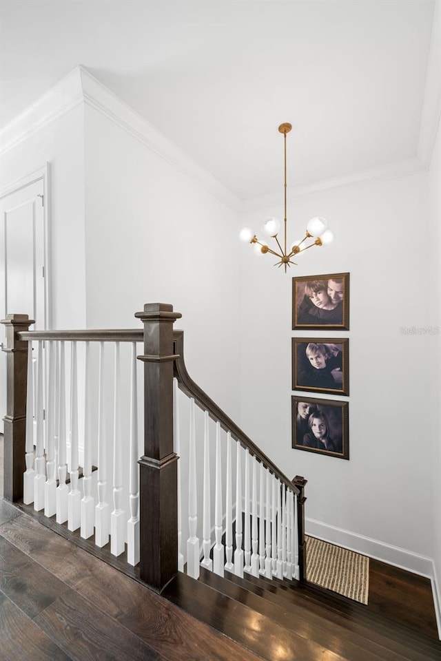 5025 W Homer Ave, Tampa, FL 33629 - stairs with ornamental molding, baseboards, a chandelier, and wood finished floors