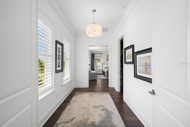 5025 W Homer Ave, Tampa, FL 33629 - hallway featuring dark wood-type flooring, baseboards, and ornamental molding
