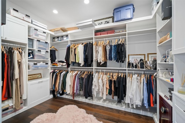 5025 W Homer Ave, Tampa, FL 33629 - spacious closet with dark wood-style flooring