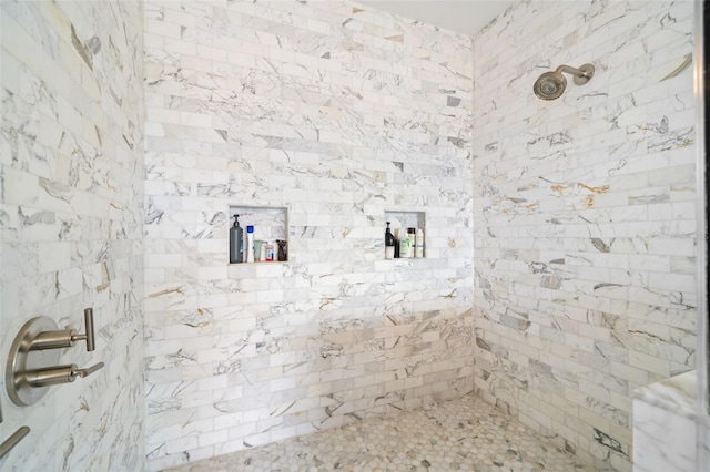 5025 W Homer Ave, Tampa, FL 33629 - bathroom with tiled shower